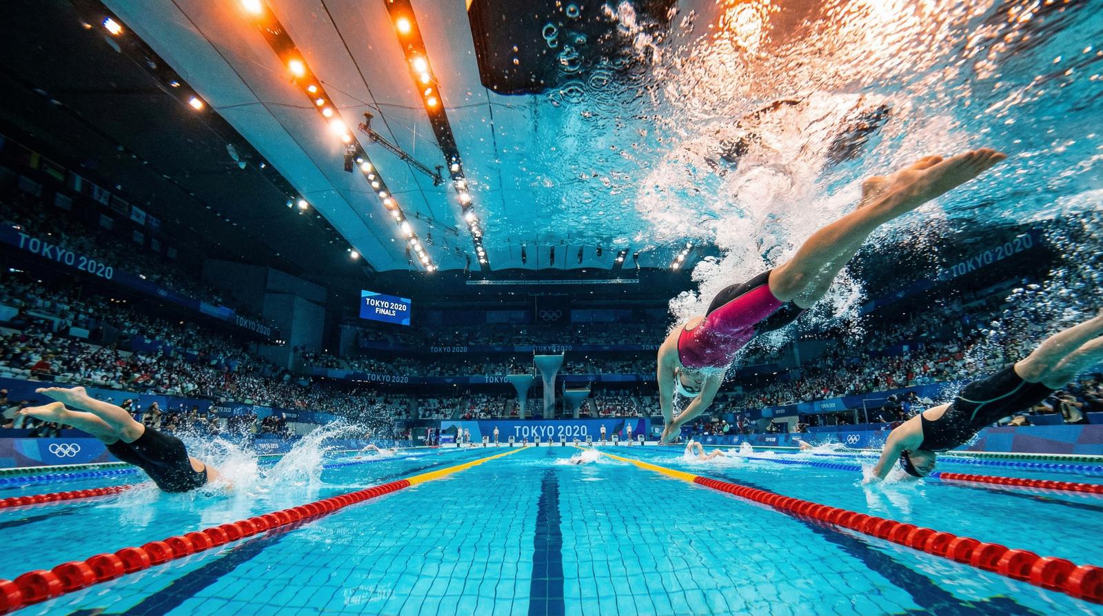 探花游泳赛事视频